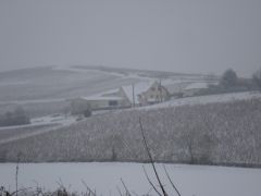 Neige1_Décembre_2010